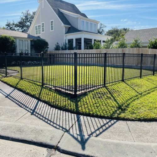 Iron Fence